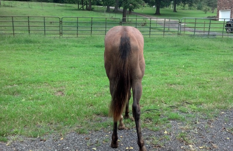 IMG_20140906_153138_915