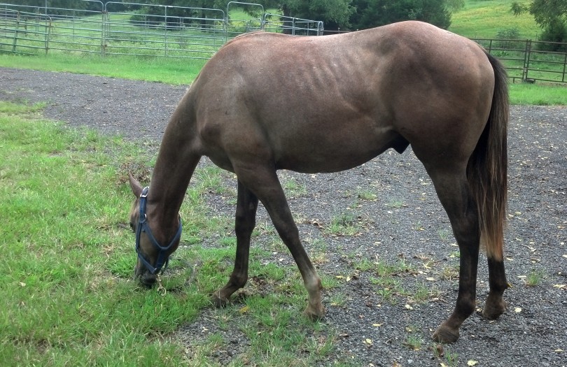 IMG_20140906_153146_317