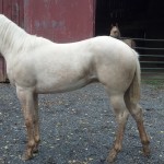 IMG_20140906_153516_017