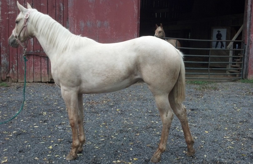 IMG_20140906_153516_017