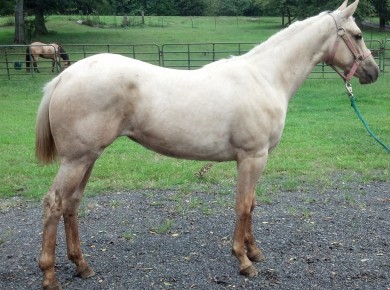 IMG_20140906_153718_948