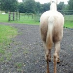 IMG_20140906_153725_854