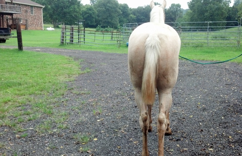 IMG_20140906_153725_854