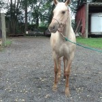 IMG_20140906_153746_642