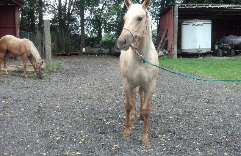 IMG_20140906_153746_642