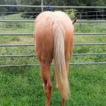 IMG_20140906_154204_963