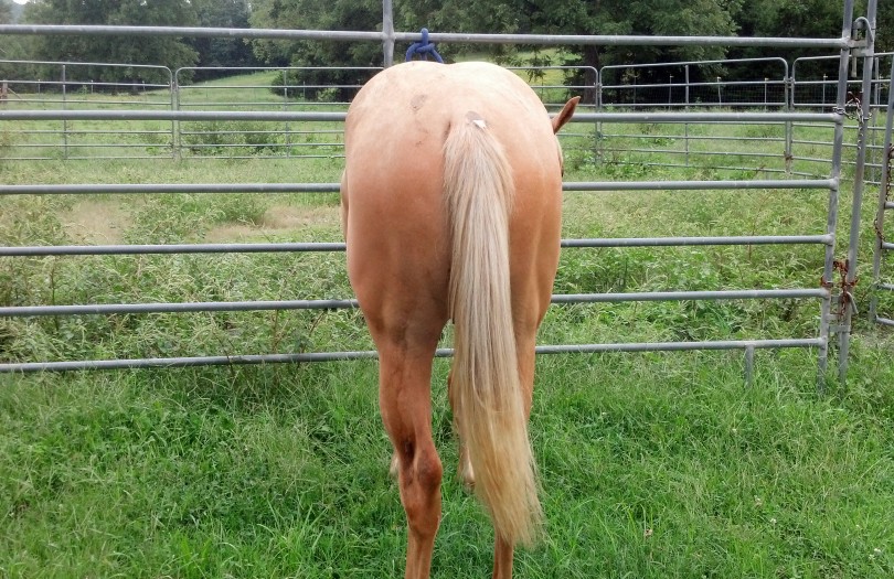 IMG_20140906_154204_963