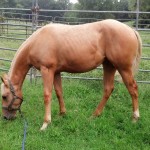 IMG_20140906_154341_696