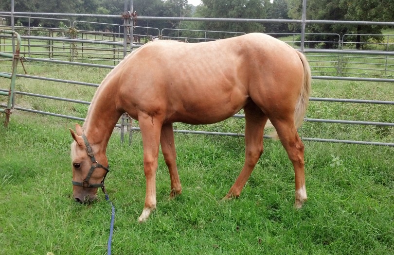 IMG_20140906_154341_696