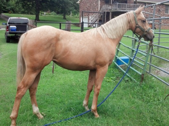 IMG_20140906_154453_291