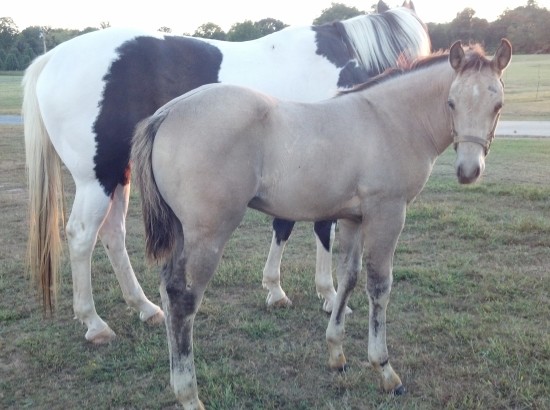 IMG_20140923_183455_412