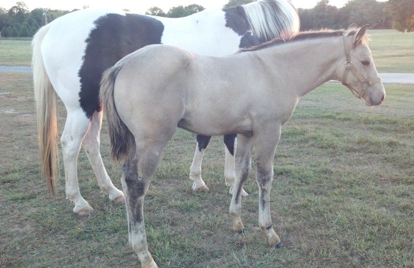 IMG_20140923_183458_274