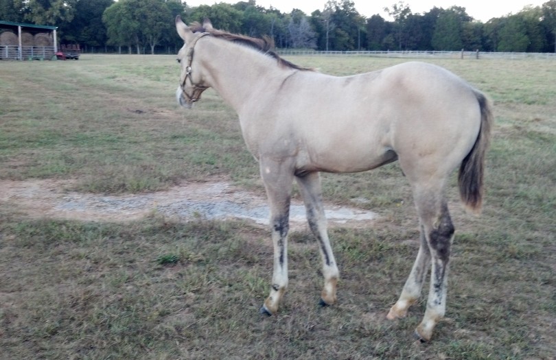 IMG_20140923_183804_269