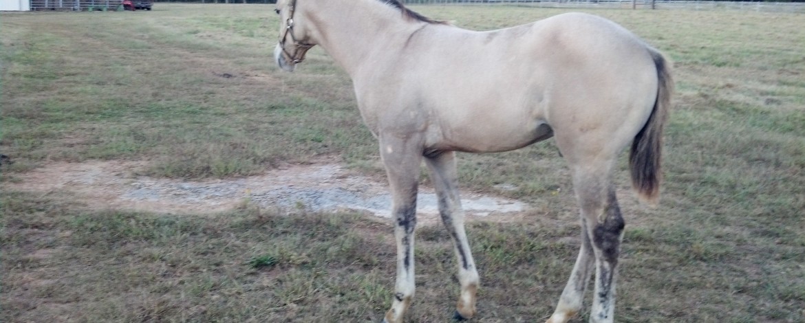 IMG_20140923_183804_269