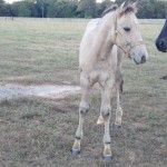 IMG_20140923_183829_327