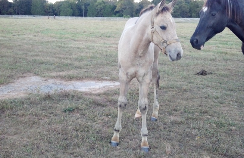 IMG_20140923_183829_327