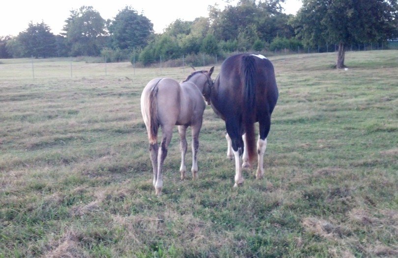 IMG_20140923_184848_671