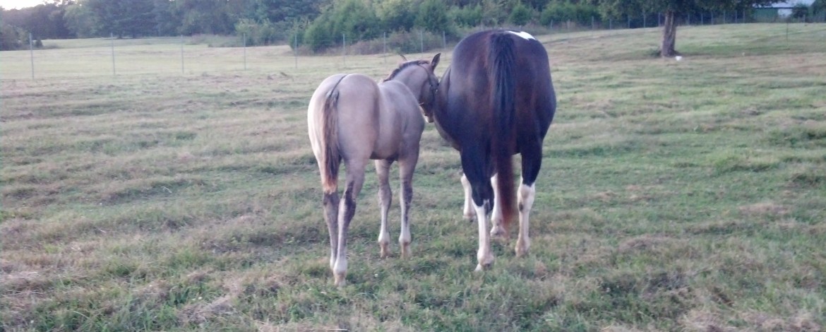 IMG_20140923_184848_671