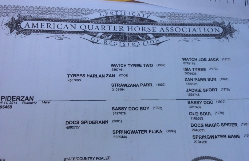 IMG_20140929_070246_519