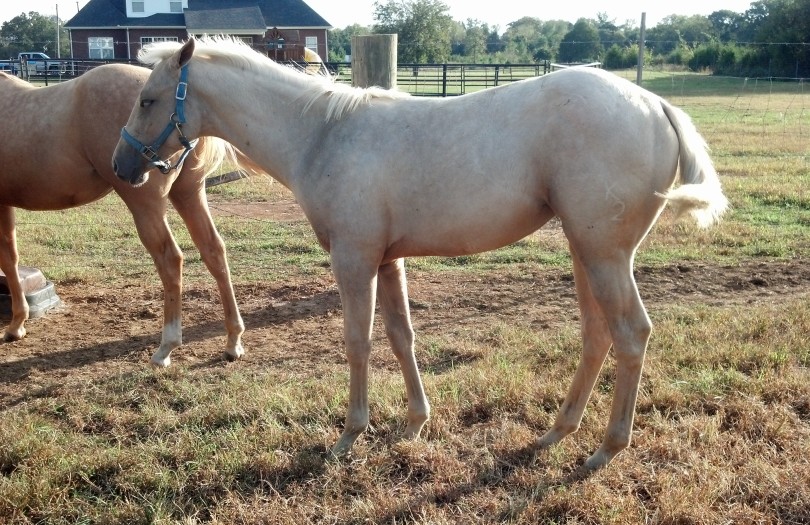 IMG_20141005_165302_758