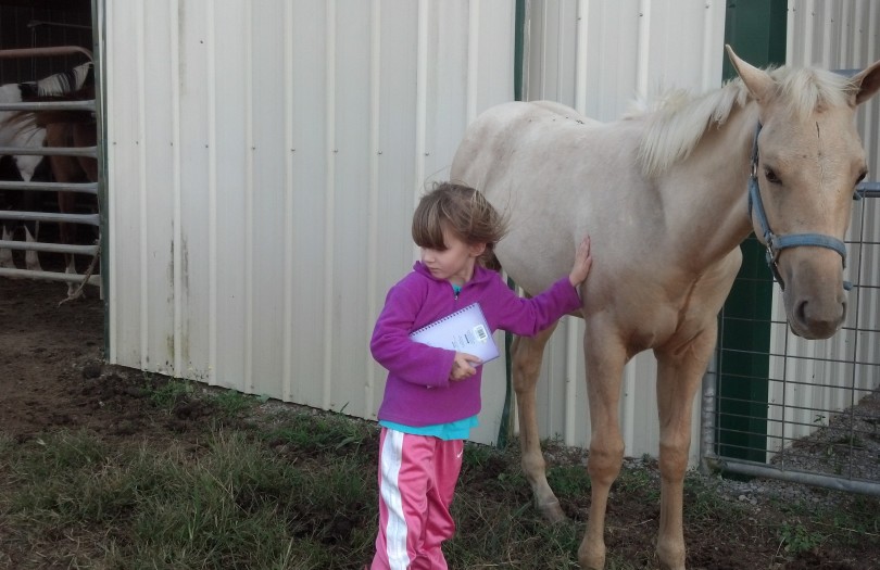 IMG_20141005_165947_101