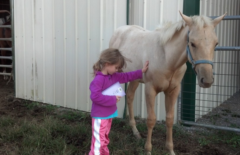 IMG_20141005_165950_851