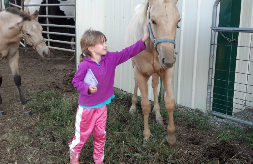 IMG_20141005_170026_311