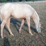 IMG_20141005_170811_137