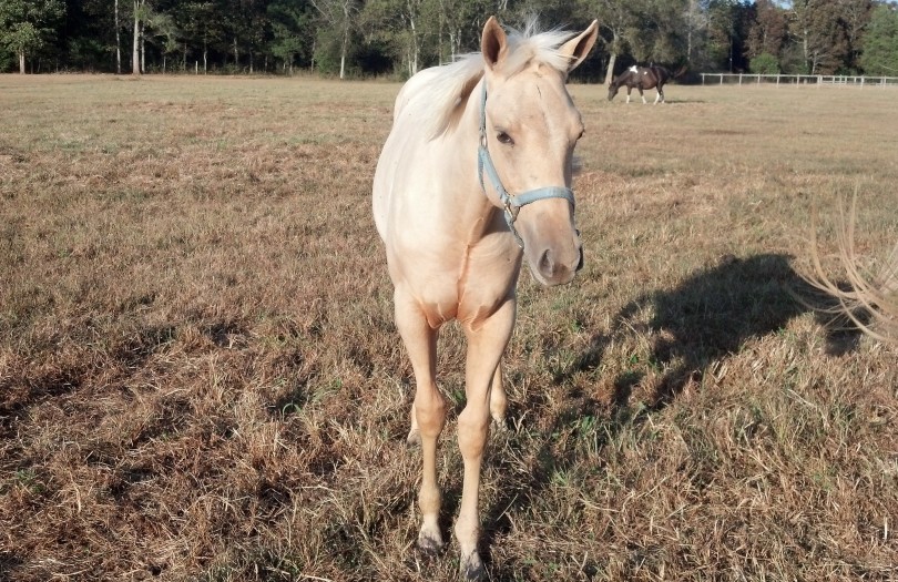 IMG_20141005_171055_887