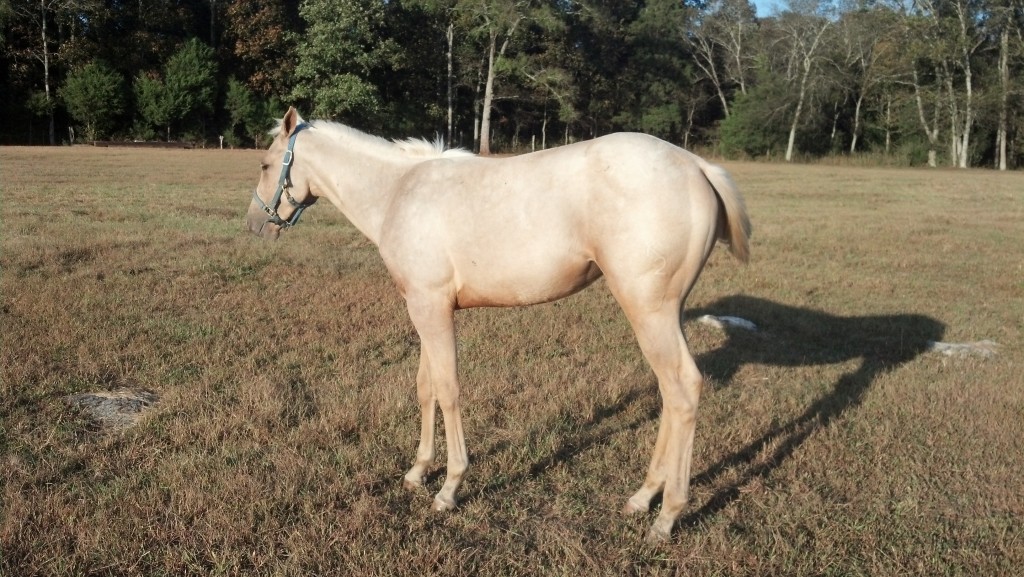 IMG_20141005_172258_574