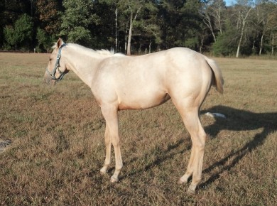 IMG_20141005_172258_574