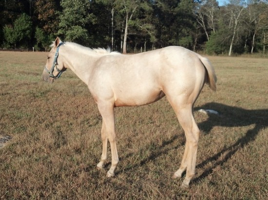 IMG_20141005_172258_574