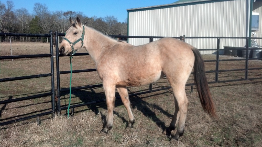 img_20131231_142324_193