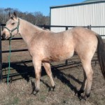 img_20131231_142324_193