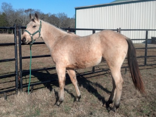 img_20131231_142324_193